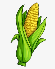 Kernel Clipart Canned Corn - Transparent Background Corn Clipart, HD Png Download, Transparent PNG