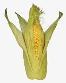 Corn Png Image - Maize, Transparent Png, Transparent PNG