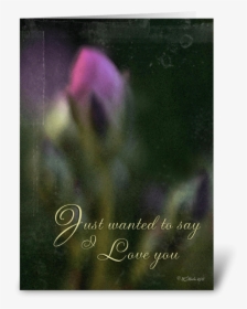 Pink Bud Romantic Card Greeting Card - Hybrid Tea Rose, HD Png Download, Transparent PNG