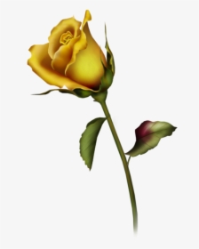 Rose Bud Pictures - Yellow Rose Tattoo Design, HD Png Download, Transparent PNG