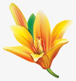 Yellow Bell Flower Png Clipart , Png Download - Yellow Color Lily Flower Png, Transparent Png, Transparent PNG