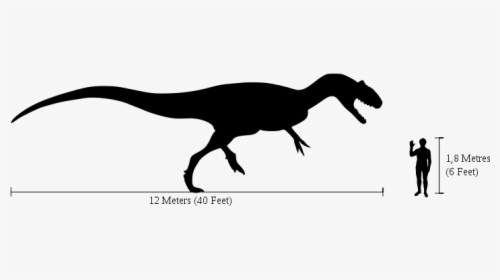 Human-allosaurus Size Comparison - Allosaurus Size Comparison To Human, HD Png Download, Transparent PNG