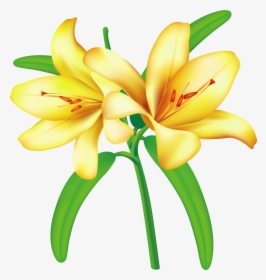 Clipart Border Easter Lily - Yellow Transparent Flowers Png, Png Download, Transparent PNG