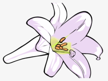 Easter Lily Clipart - Lily, HD Png Download, Transparent PNG