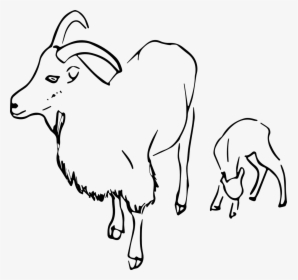 Goat Herd Clipart Black And White Png, Transparent Png, Transparent PNG
