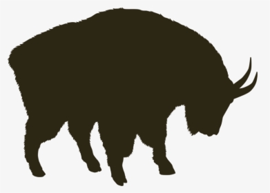 Mountain Goat - Bison - Bison, HD Png Download, Transparent PNG