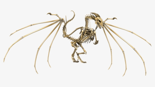 Dragon Skeleton - Skeleton Dragon Dnd 5e, HD Png Download, Transparent PNG