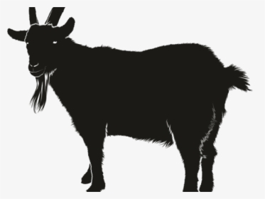 Transparent Goat Clipart Black And White, HD Png Download, Transparent PNG