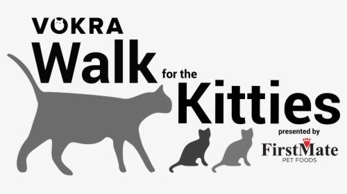 Transparent Cat Walking Png - Black Cat, Png Download, Transparent PNG