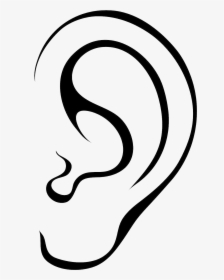 Ear Black Clipart Transparent Png - Ear Clipart Black And White, Png Download, Transparent PNG