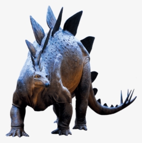 Triceratops, HD Png Download, Transparent PNG