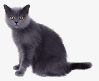 4 Cats Png - Black Persian Siamese Cat, Transparent Png, Transparent PNG