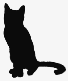 Black Cat, HD Png Download, Transparent PNG