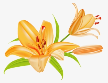 Lily Flower Bouquet Clipart - Tiger Lily Clip Art, HD Png Download, Transparent PNG