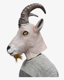 Picture 4 Of - Diy Mountain Goat Costume, HD Png Download, Transparent PNG