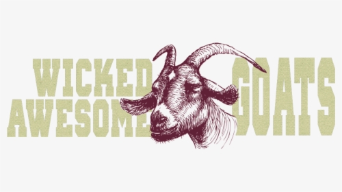 Wicked Awesome Goats - Stubborn Goat, HD Png Download, Transparent PNG