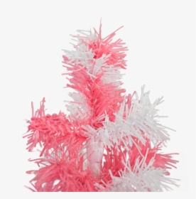18 - Christmas Tree, HD Png Download, Transparent PNG