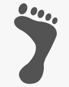 Footprint-lk - Offset Your Carbon Emissions, HD Png Download, Transparent PNG