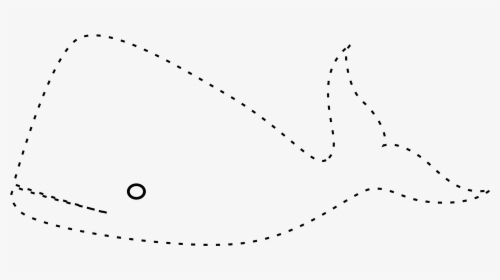 And Colour The Whale - Trace The Picture And Colour, HD Png Download, Transparent PNG