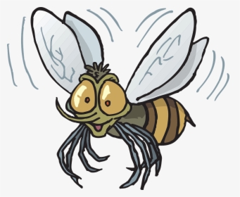 Mexican Fruit Fly Cartoon, HD Png Download, Transparent PNG