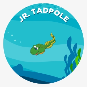 Tadpole Clipart Foot - Tadpole In Water Clipart, HD Png Download, Transparent PNG