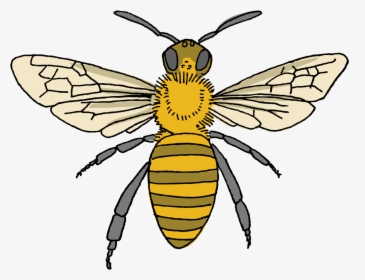 Bee Tattoo, HD Png Download, Transparent PNG