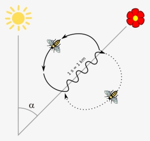 Bee Dance, HD Png Download, Transparent PNG