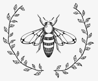 The Buzzing Bee Bumblebee Clip Art - Buzzing Bee Clipart, HD Png