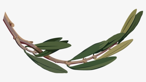 Botany,plant,flower - Olive Branch Png Png, Transparent Png, Transparent PNG