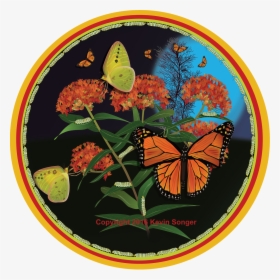Florida Nature Art, Monarch And Milkweed - Monarch Butterfly, HD Png Download, Transparent PNG