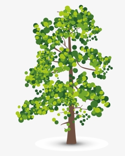 Aspen Tree Creative Perspective Olive Leaf Shadow Clipart - Lidar Number Of Returns, HD Png Download, Transparent PNG