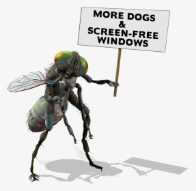 Fly Sign - Pest Management, HD Png Download, Transparent PNG