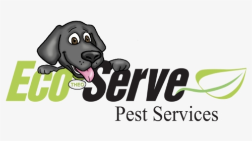 Eco Serve Pest Services - One Direction Quotes, HD Png Download, Transparent PNG