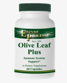 Olive Leaf Plus 60 Capsules - Olive Leaf, HD Png Download, Transparent PNG