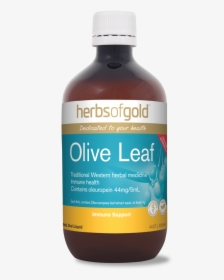 Olive Leaf - Natural Foods, HD Png Download, Transparent PNG