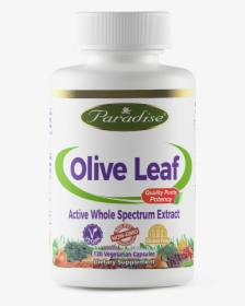 225cc Olive Leaf P Front - Paradise Herbs Ashwagandha, HD Png Download, Transparent PNG