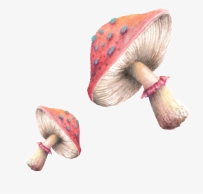 Transparent Lovers Png - Mushrooms Painting Png, Png Download, Transparent PNG
