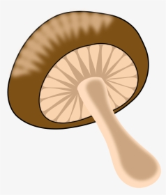 Beige,edible Mushroom,mushroom - Food Mushroom Clipart Png, Transparent Png, Transparent PNG