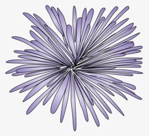 Fireworks, Burst, Style 2, Purple - Drawing, HD Png Download, Transparent PNG