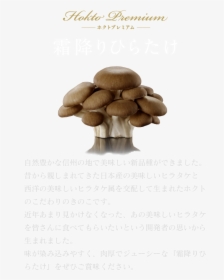 Hokuto Premium Shimofuri Hiratake - Shiitake, HD Png Download, Transparent PNG