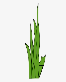 Grass Blades And Clumps 3 Clip Arts - Clip Art, HD Png Download, Transparent PNG