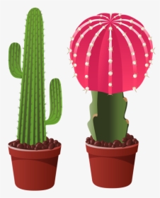0 Home Clipart, Garden Clipart, Clipart Images, Cactus - Cactus Flowets Png, Transparent Png, Transparent PNG
