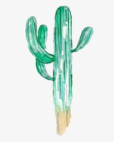 Saguaro Cacti, Cactus, Watercolor, Plant, Succulents - Watercolor Painting, HD Png Download, Transparent PNG