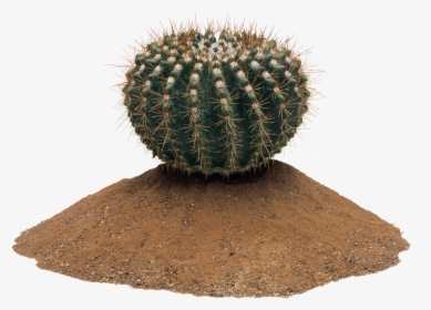 Cactus Png Image - Cactus Png, Transparent Png, Transparent PNG