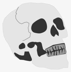 Simplified Skull Clip Arts - Cartoon Skull Png Public Domain, Transparent Png, Transparent PNG