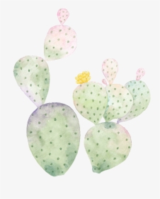 Hand Painted Cactus Png Transparent - Barbary Fig, Png Download, Transparent PNG