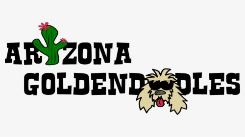 Breeder Of Top Quality Goldendoodles - Shih Tzu, HD Png Download, Transparent PNG