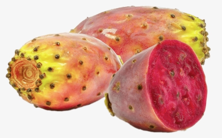 Prickly Pear Cactus Fruit - Morocco Prickly Pear Oil, HD Png Download, Transparent PNG