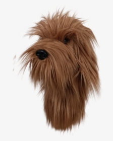 Daphne S Headcovers - Labradoodle, HD Png Download, Transparent PNG