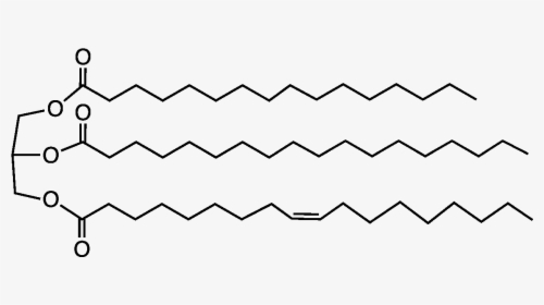 File - Cocoabuttriglyc - Glyceryl Trilinoleate, HD Png Download, Transparent PNG